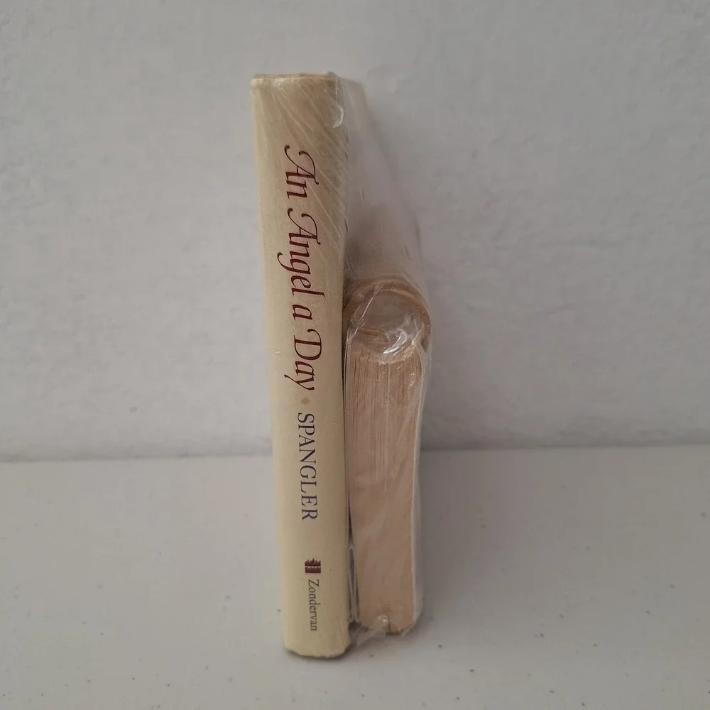 An Angel a Day: A Book of Mediations & 120 Daily Spiral Bound Add-On Guide NEW
